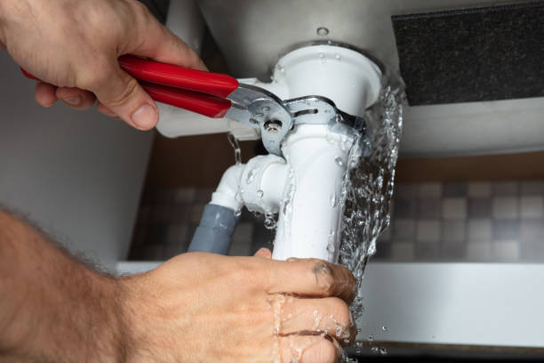 Best Fire Damage Restoration  in Springfield, SD