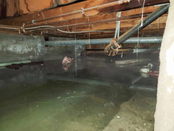 Best Commercial water damage restoration  in Springfield, SD