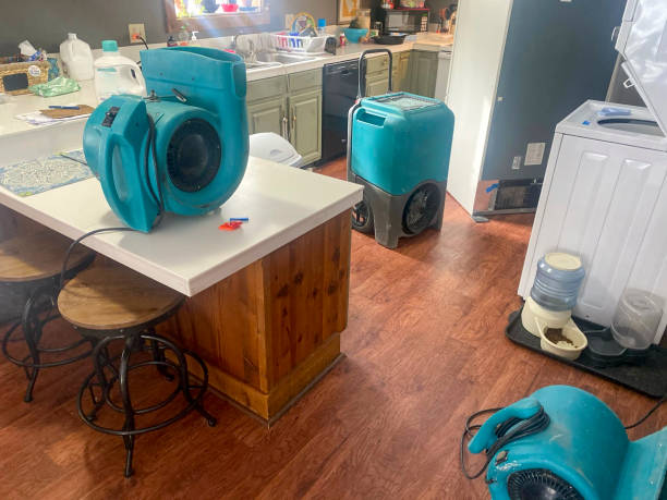 Best Water damage cleanup near me  in Springfield, SD