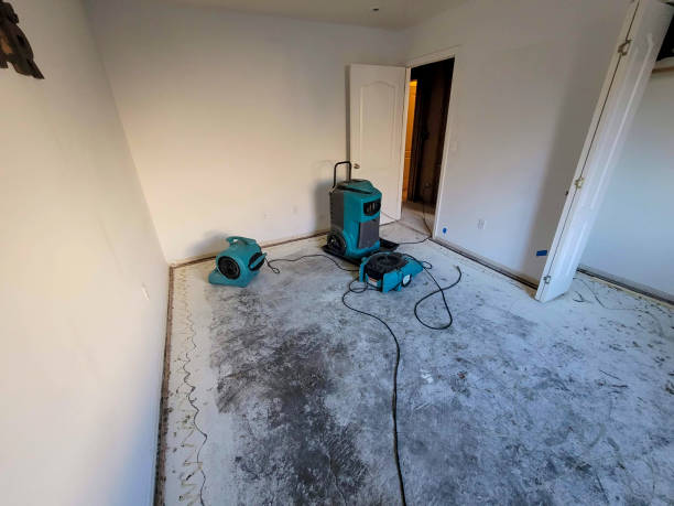 Best Residential water damage restoration  in Springfield, SD