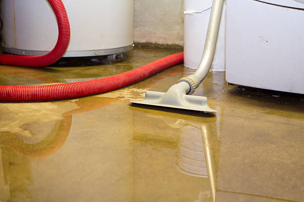 Best Water damage cleanup near me  in Springfield, SD
