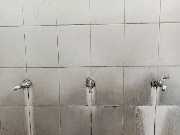Best Water damage restoration near me  in Springfield, SD