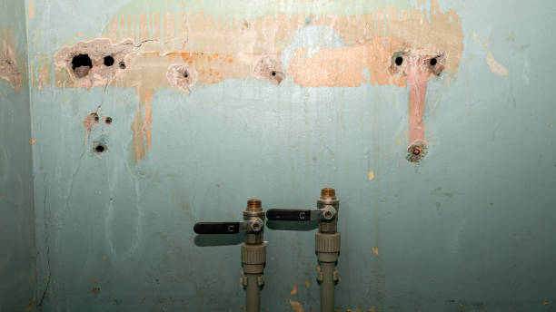 Best Mold removal after water damage  in Springfield, SD