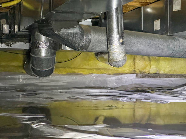 Best Flood damage cleanup  in Springfield, SD