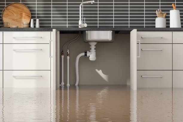  Springfield, SD Water damage restoration Pros