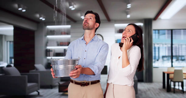 Best Professional water damage repair  in Springfield, SD