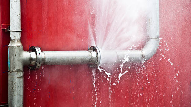 Best Water damage restoration near me  in Springfield, SD